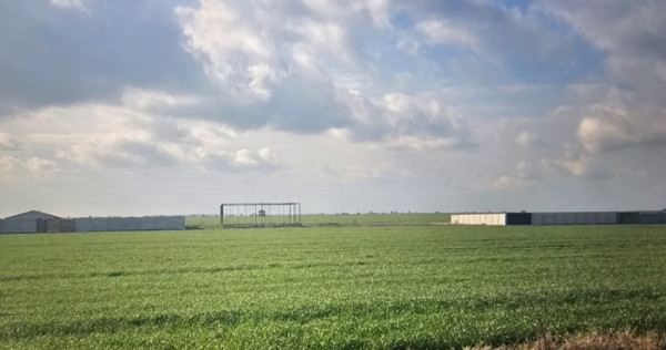 Teren intravilan, 500 mp, zona simode peugeot, pielesti, pos