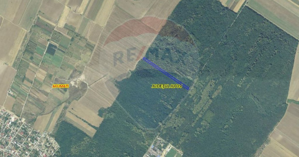 Teren 10,000mp afumati | padure | soseaua petrachioaia