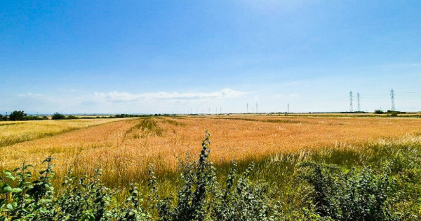 Teren extravilan bradu arges