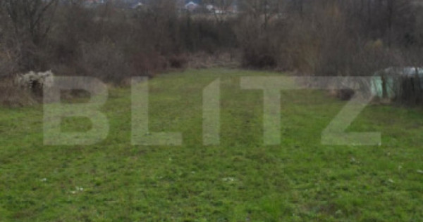 Teren intravilan 3000mp ,sat plopu, prahova