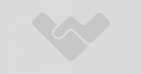 Doua case, unirii, curti separate