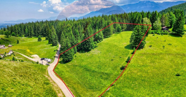 Vânzare teren fundata - priveliște panoramică!