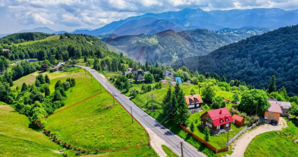 Vânzare teren fundata - priveliște panoramică!