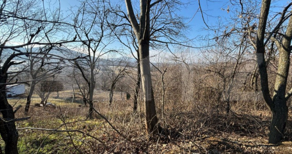 Teren intravilan de vanzare, 17700 mp zalau