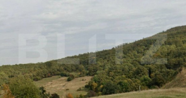 Teren intravilan de vanzare, 15 ari, zalau