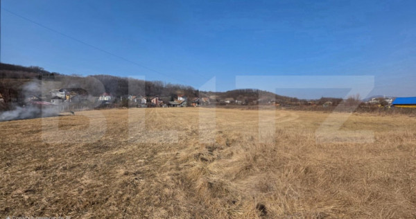 Teren intravilan de vanzare, 700 mp, zona viișoare