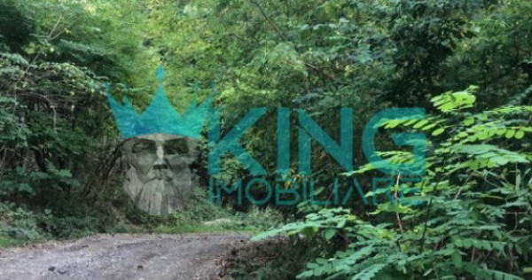Teren intravilan + padure | vladesti | 7km de oras | pret ne