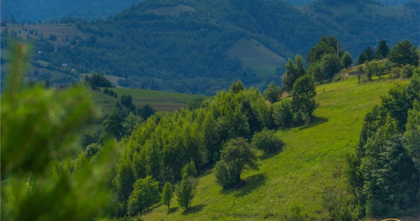 Oaza de relaxare, view panoramic, potential constructii pe 1