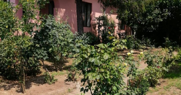 Casă spațioasă de vânzare în pogoanele, județul buzău