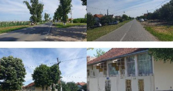 Casa si teren localitatea cenad, comuna cenad, jud. timis