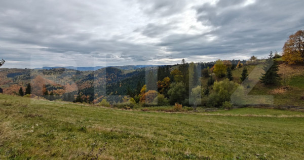 Teren spectaculos ideal pentru cabana, parcelabil, cu utilit