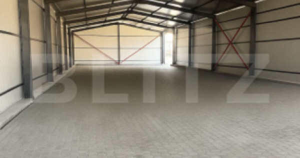 Hală industrială -zona colanu