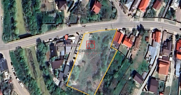 Teren domnesti - ciutaci, ilfov