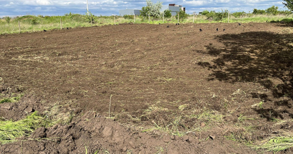 Vand teren intravilan in sat costi