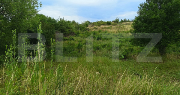 Teren intravilan, de vanzare, 918 mp, zona livada meses