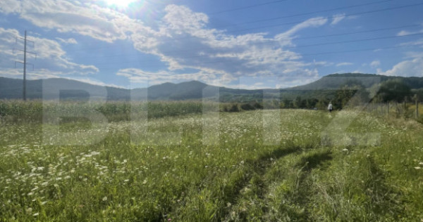 Teren intravilan viișoara – ideal pentru casă sau invest