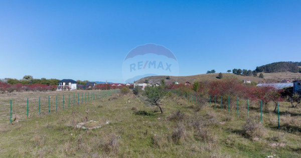 Teren sanpetru -livada, strada nucului, 1296mp, apa, gaz,...