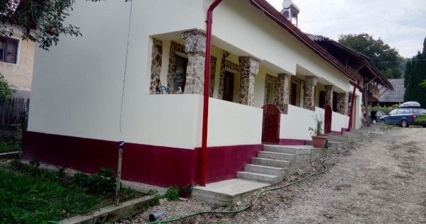 Case la curte cu mult teren jupanesti, arges