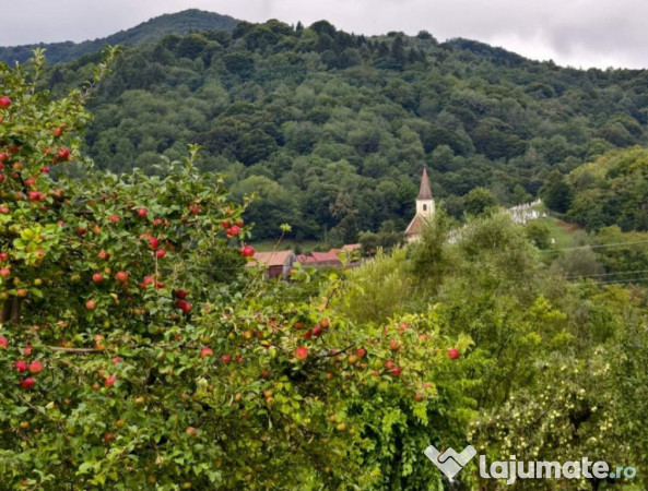 Vila cu poveste Fantanele, Sibiu