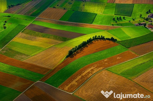 Vând terenuri agricole - extravilan localitatea cerna, județ timiș