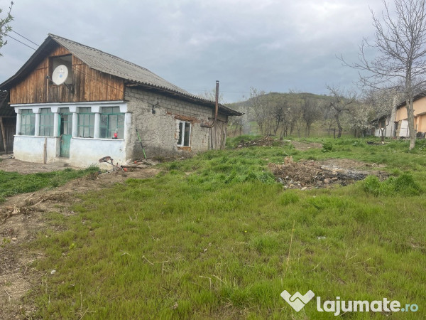 Vând teren intravilan și locuință în călinești argeș