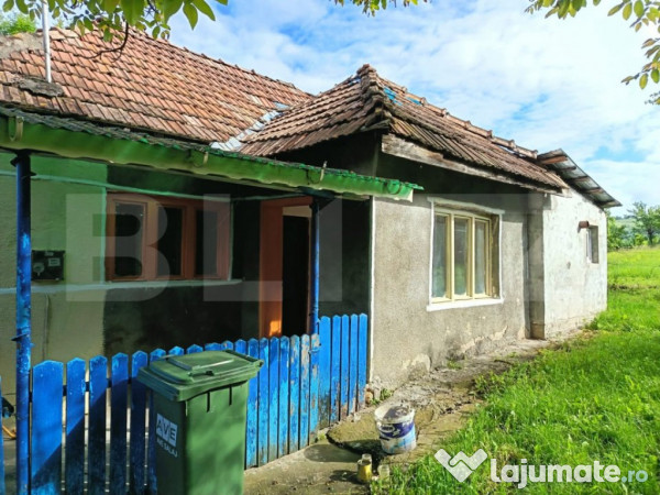 Casa cu 2 camere