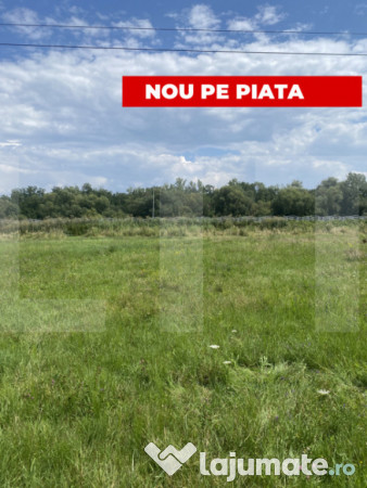 Teren intravilan 1.000 mp cu puz aprobat – lângă sepsi a