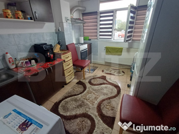 Apartament cu 2 camere, decomandat, 41 mp, parter, mobilat ?
