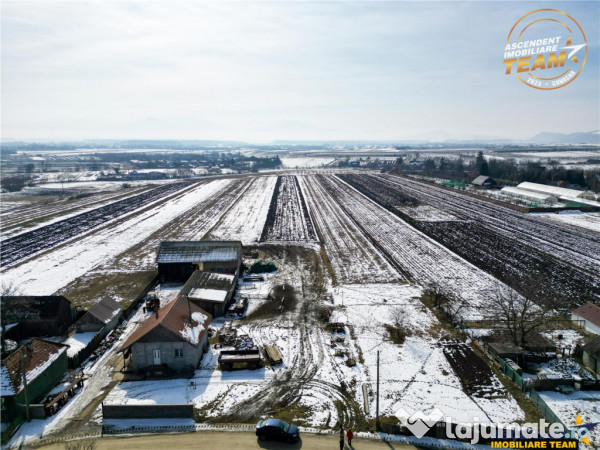 Teren intravilan 6.425 mp,dobolii de jos, recomandat investi