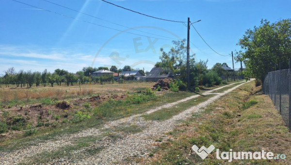 Teren de vânzare – 1500 mp, broșteni, jud. argeș