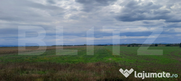 Teren extravilan de vanzare, 21.750 mp, satu mare