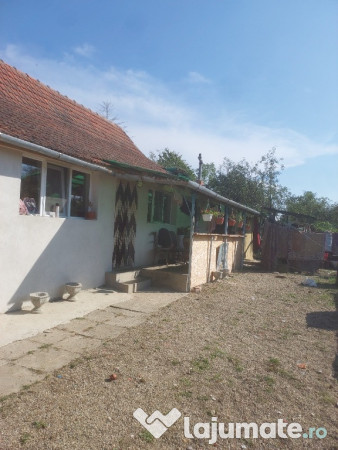 Casa str salcamilor nr 68