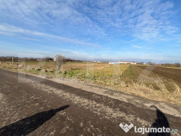 Anunț de vânzare teren intravilan în borș