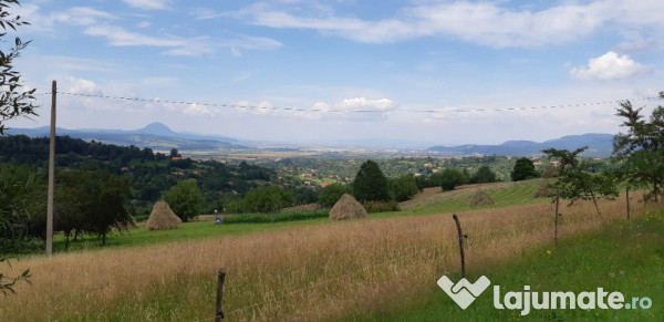 Teren intravilan bran-bradul inalt-priveliste panoramica 2542mp