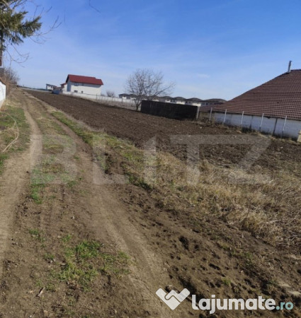 Teren 2500 mp intravilan, valea lupului
