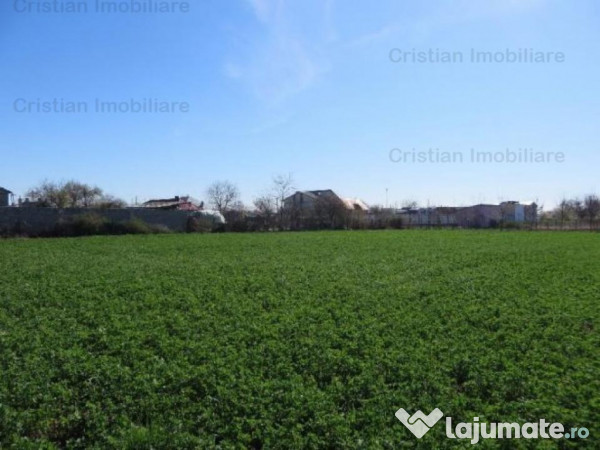 Teren constructii zona lacu sarat, suprafata 3393 mp, 22 eu