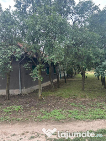 Casa in talpos, 3 camere