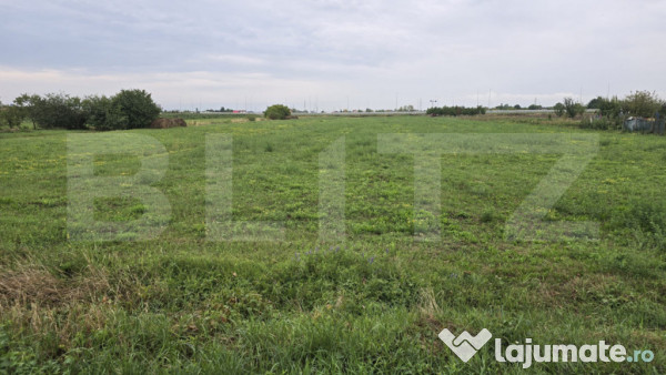 Teren extravilan 12000mp. periferie sud