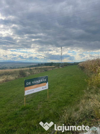 Teren pentru investitie