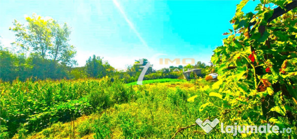 Teren 1486mp.d=50m.cu casa 3 camere locuibila, tulcea-somova