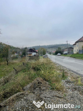 Casa de vanzare in teaca de 3 camere plus 17 arii teren !