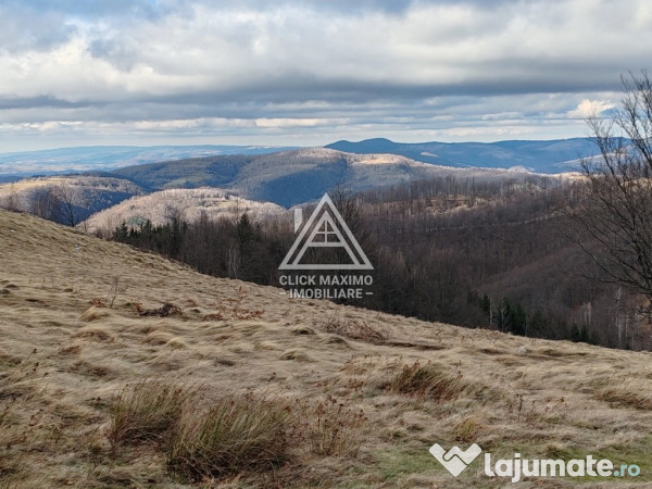 24 hectare în zona turistică montană – bulz, bihor | panoramă 360°