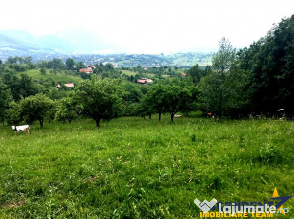 Film! 20.000 mp in povestea naturii din renumitul areal:bran
