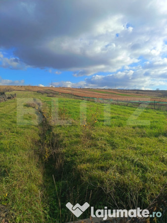 Teren în suprafață de 7800 mp