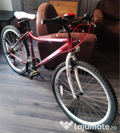Stranger Recount Salesperson Bicicleta Noua 26”, 800 lei - Lajumate.ro