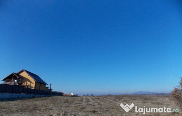 Teren constructie case