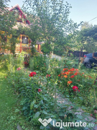 Casa dejani, langa fagaras, 2500 mp teren 4 camere - raul tr