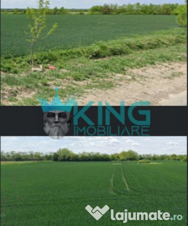 Teren agricol | crevedia | 95ha | parcelare