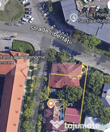 Propietate cu 2 case si spatiu comercial, 585 mp teren, inte