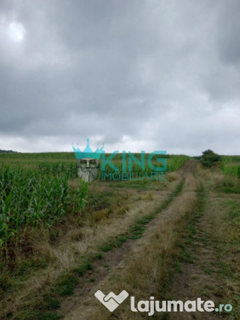 Teren agricol | 5800 mp | moisa